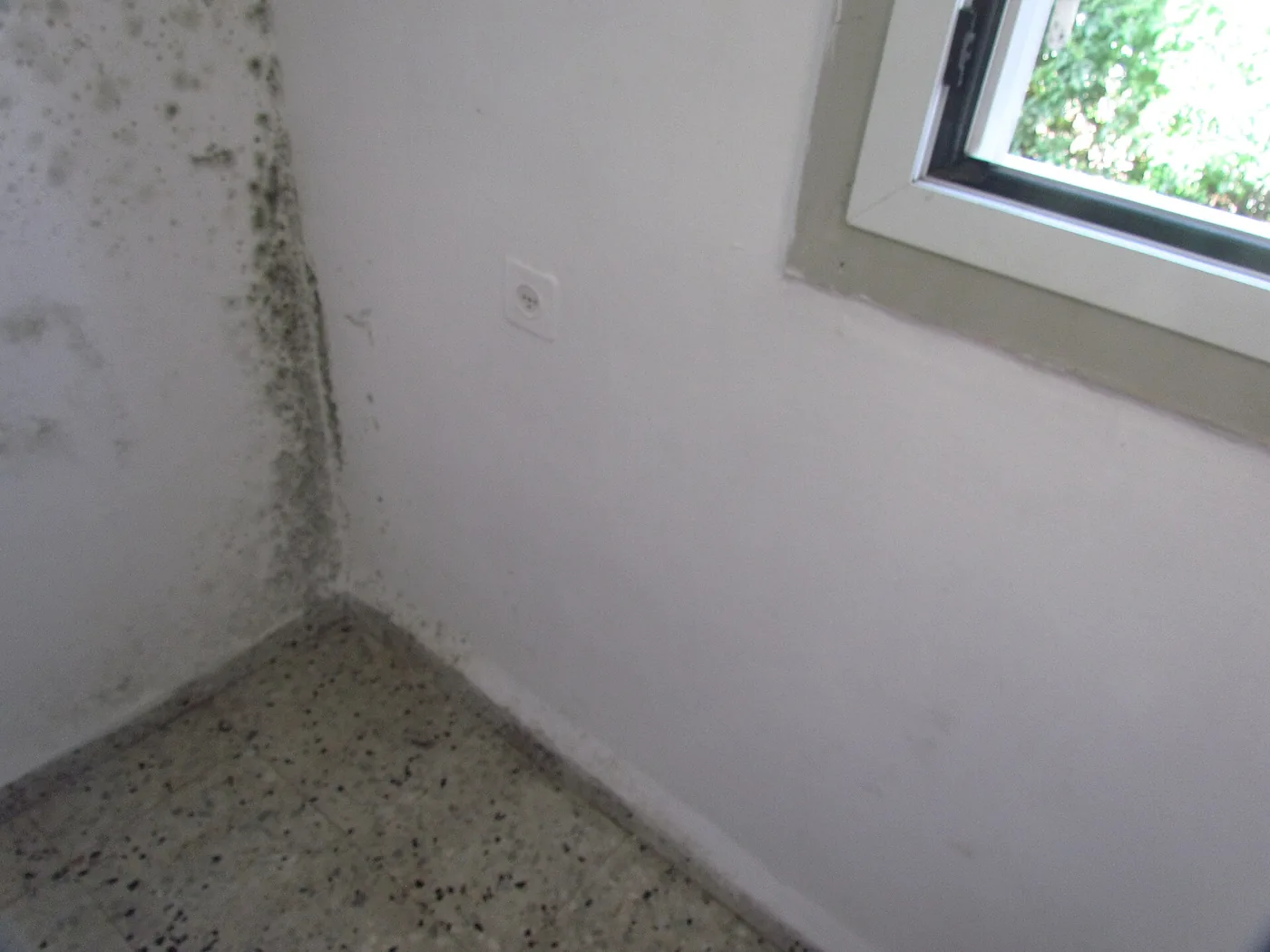 Mould growing in the corner of a room