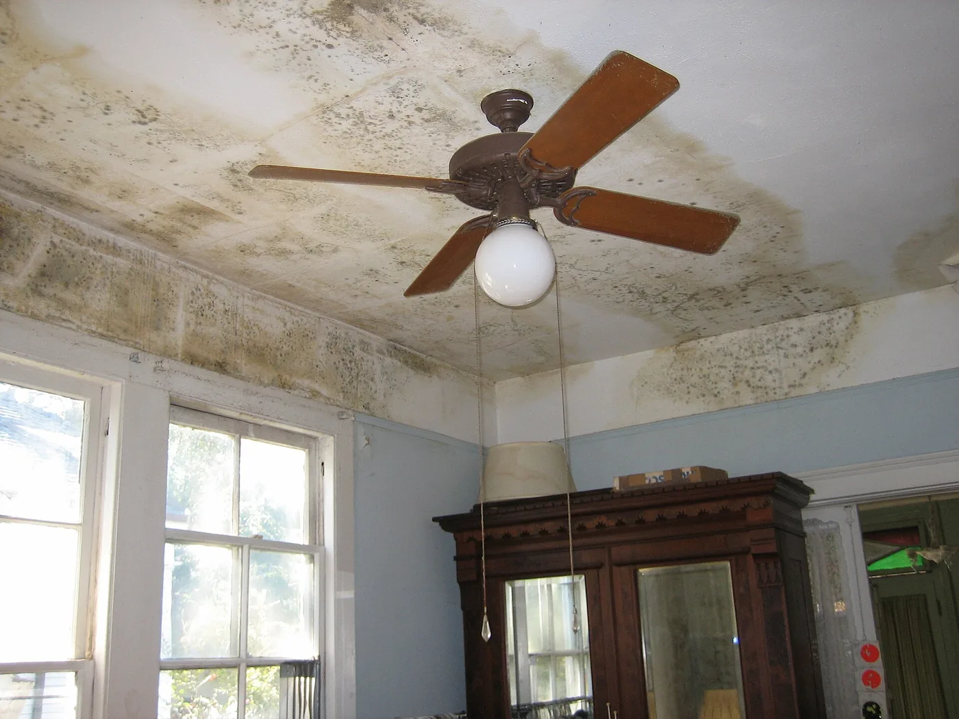 Water stains spreading across a ceiling