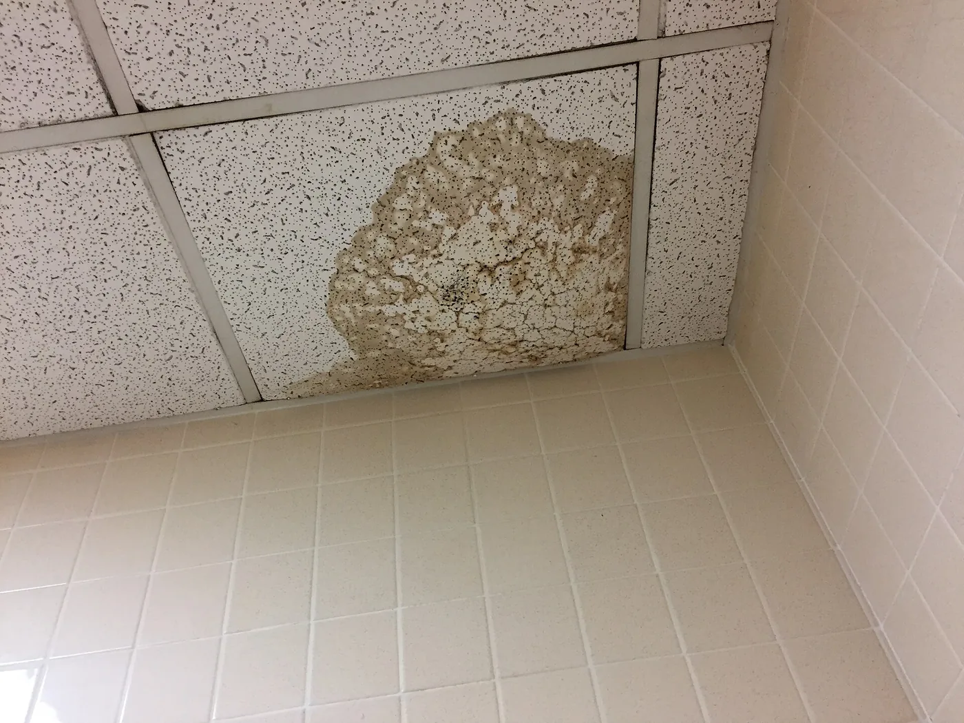 Water-damaged ceiling above a bathroom